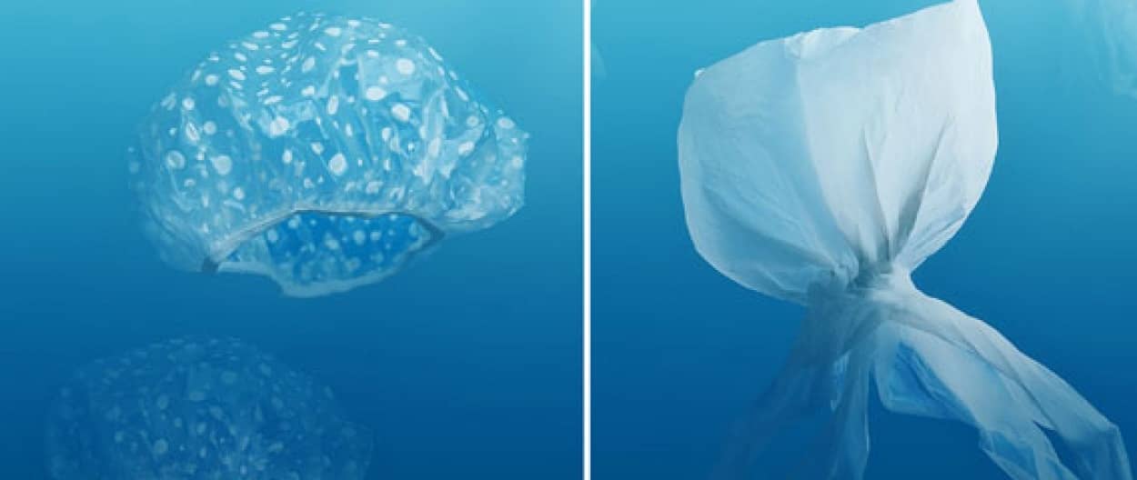 海洋生物となった浮遊プラスチック 海洋ゴミ問題について考える カラパイア 海洋生物となった浮遊プラスチック 海洋ゴミ問題について考える カラパイア