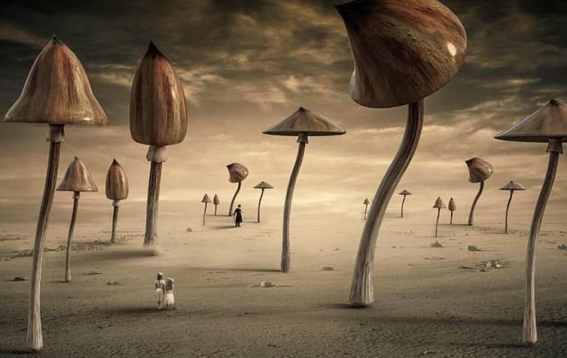 fantasy-g1d3992c6a_640