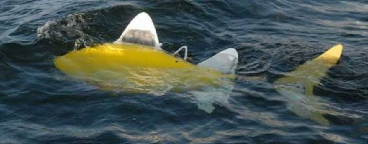 海の汚染物質を数秒で分析する魚型ロボットが開発される（欧州研究 