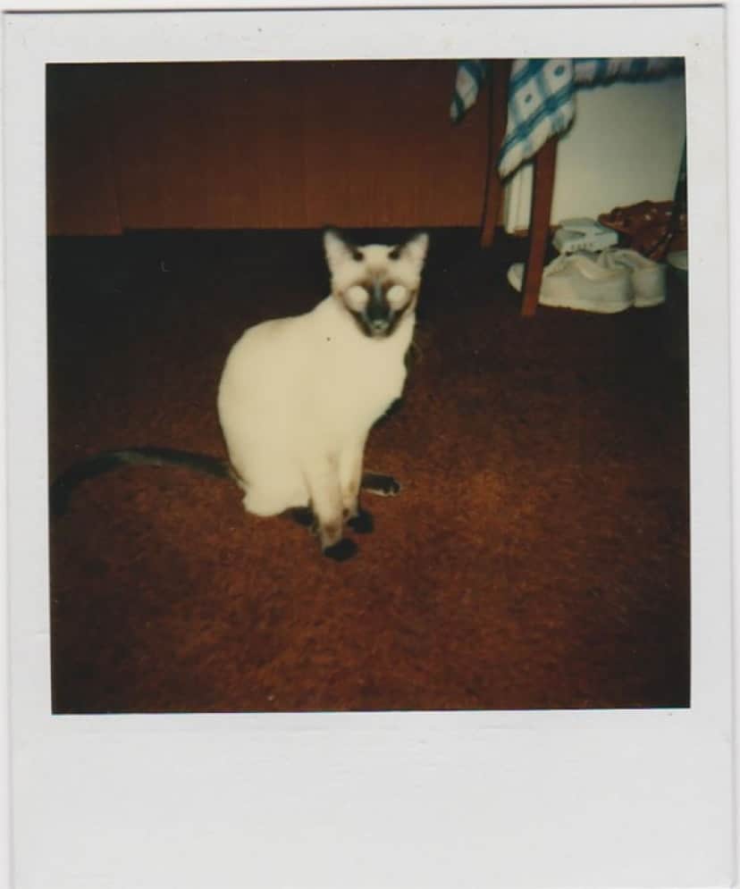17_e