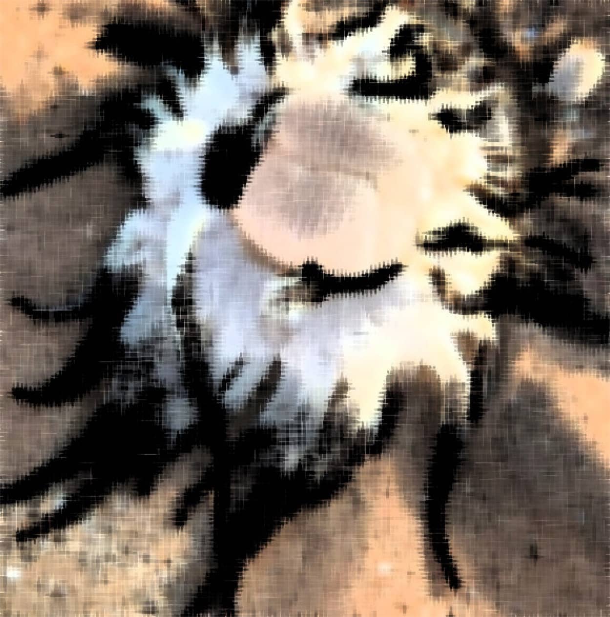00