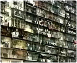 ドイツが撮影した巨大スラム街 九龍城砦 香港 解体直前19年のドキュメント映像 カラパイア