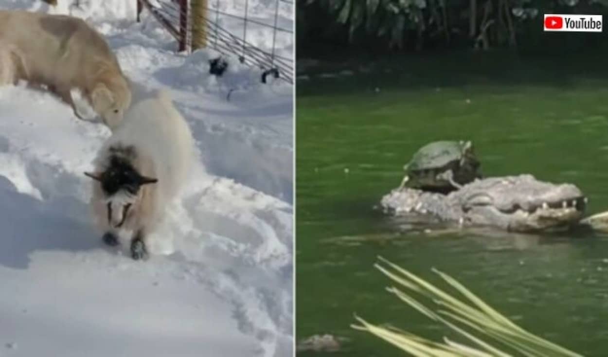 20240121_115800 (4)_batch