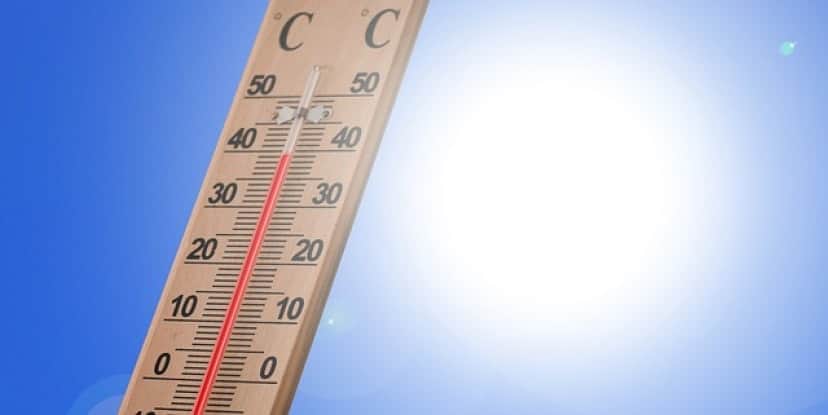 thermometer-3581190_640