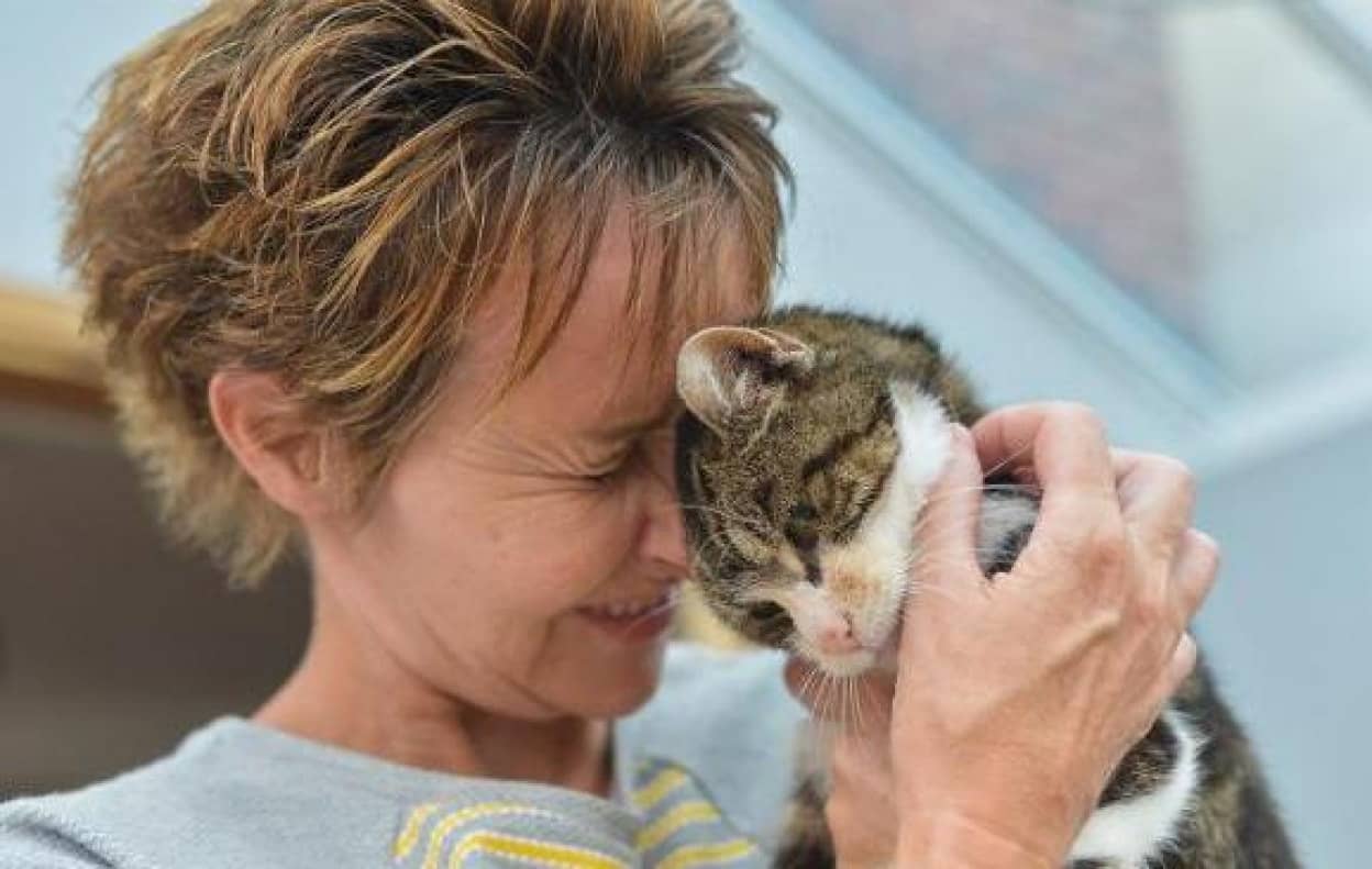月日は流れて13年 また会えるなんて思わなかった 猫と飼い主の奇跡の再会 イギリス カラパイア 月日は流れて13年 また会えるなんて思わなかった 猫と飼い主の奇跡の再会 イギリス カラパイア