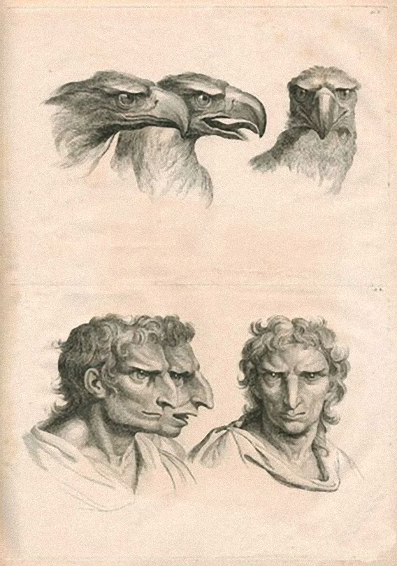 17世紀の偉大なるフランスの画家 シャルル ルブランが描いた物凄い進化図 カラパイア 17世紀の偉大なるフランスの画家 シャルル ルブランが描いた物凄い進化図 カラパイア