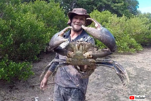 これはでかい！巨大ガニ「ノコギリガザミ」を泥の中から捕獲！（オーストラリア）