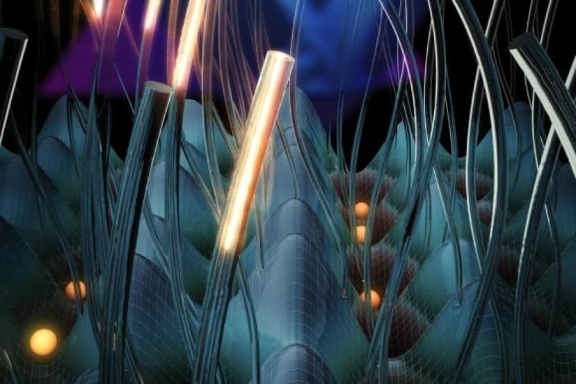 3_e1
