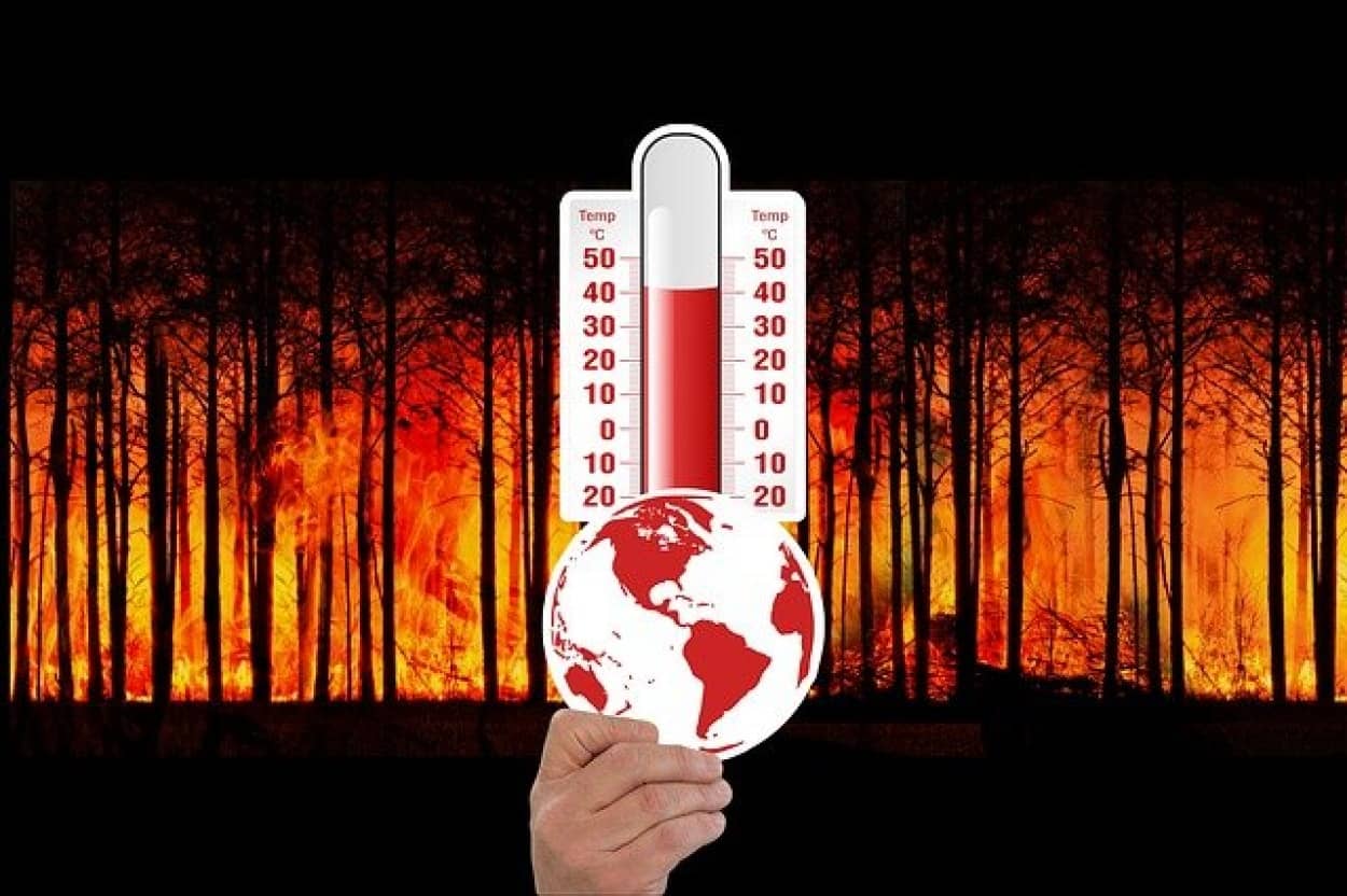 今後100年で熱波はさらに過激に。過去数十年の間に強烈な熱波が5回は発生していた