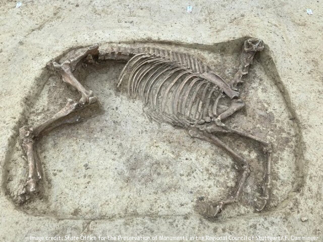 1400年前の墓地から首なし馬の遺骨が発見される。いったいなぜ？