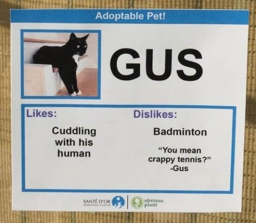 Gus_e