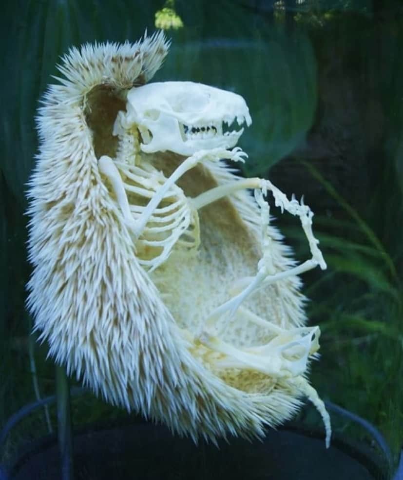 10_e