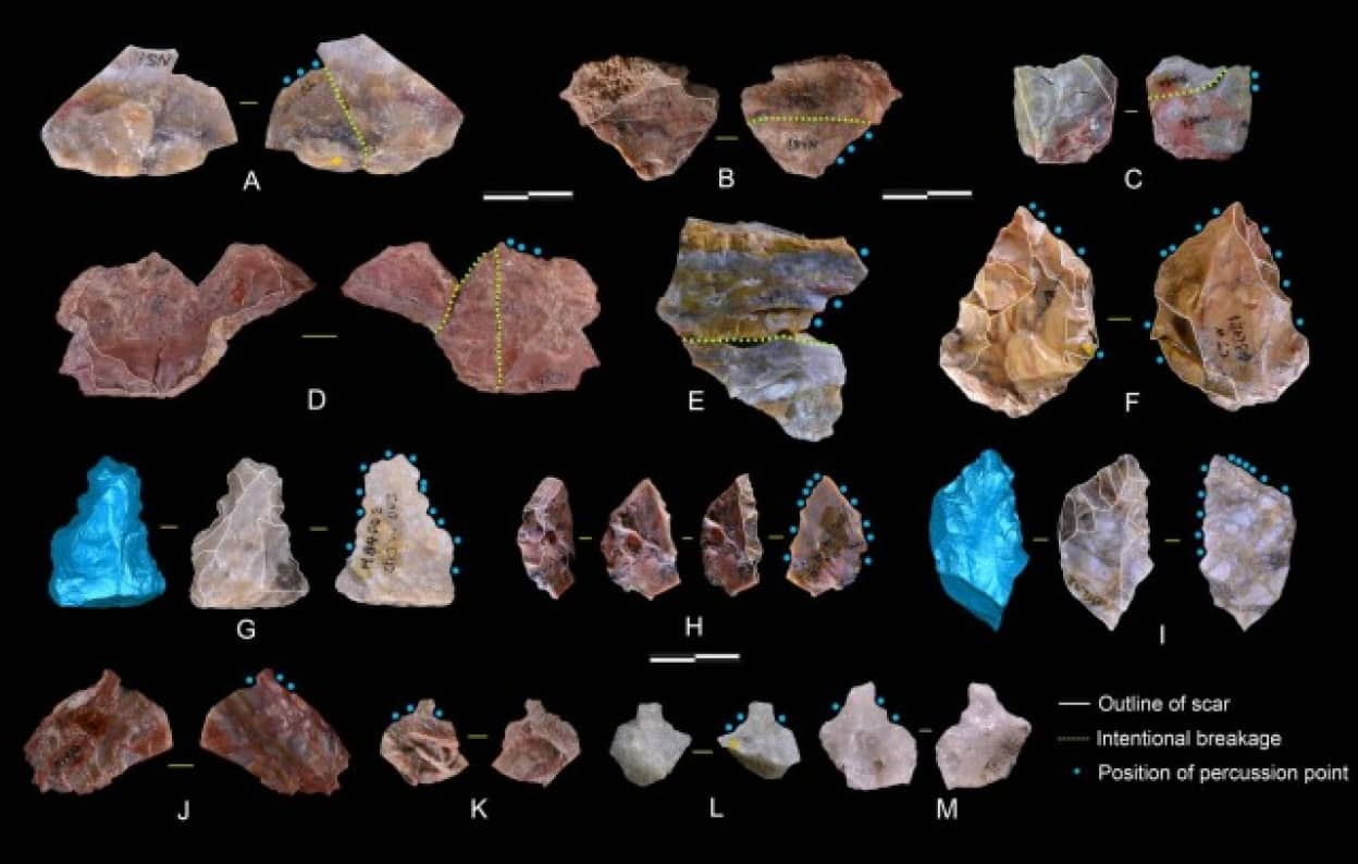 アジアのヒト族が作った110万年前の高度な道具