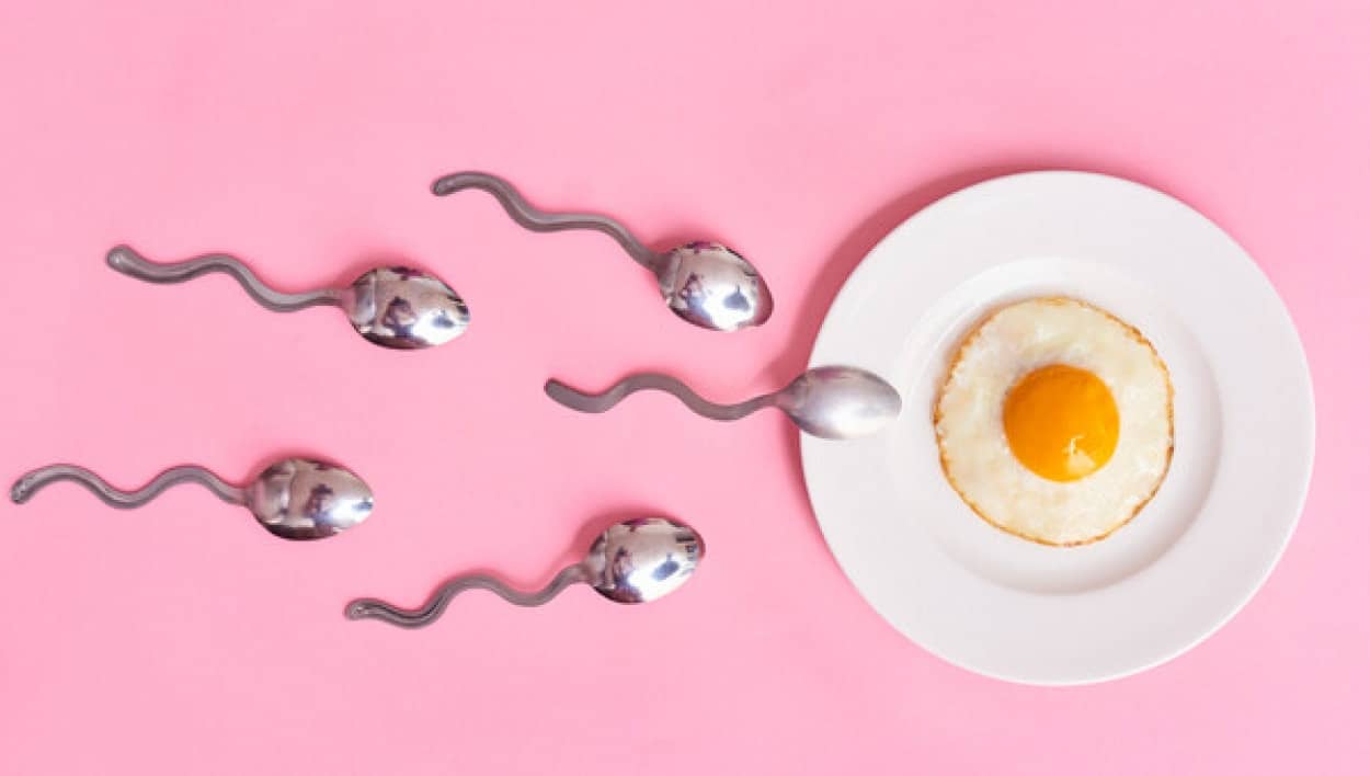 精子は数よりも質であるとする新たな研究