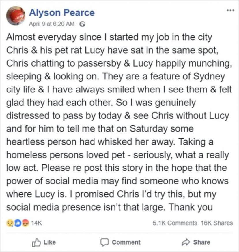 lucy-f (1)