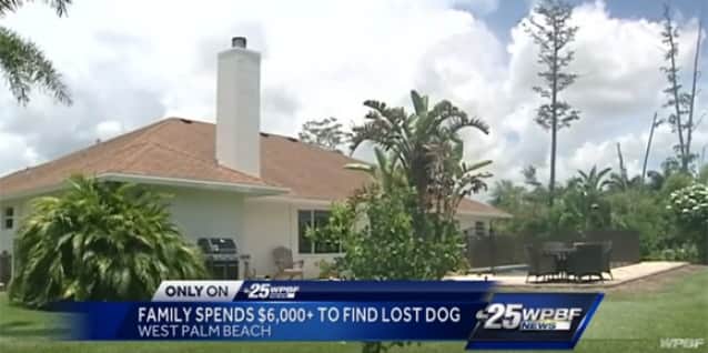 愛犬を探すため 1か月で67万円もかけて大捜索をしているアメリカの家族 業者を雇って足取りを追跡 だがいまだ見つからず カラパイア 愛犬を探すため 1か月で67万円もかけて大捜索をしているアメリカの家族 業者を雇って足取りを追跡 だがいまだ見つからず カラパイア