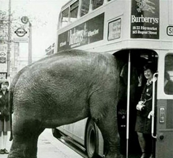 thats_why_you_shouldnt_ride_a_bus_14