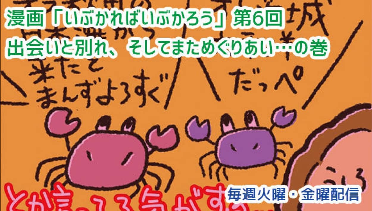 トップ用