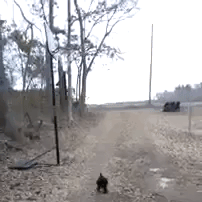 running2