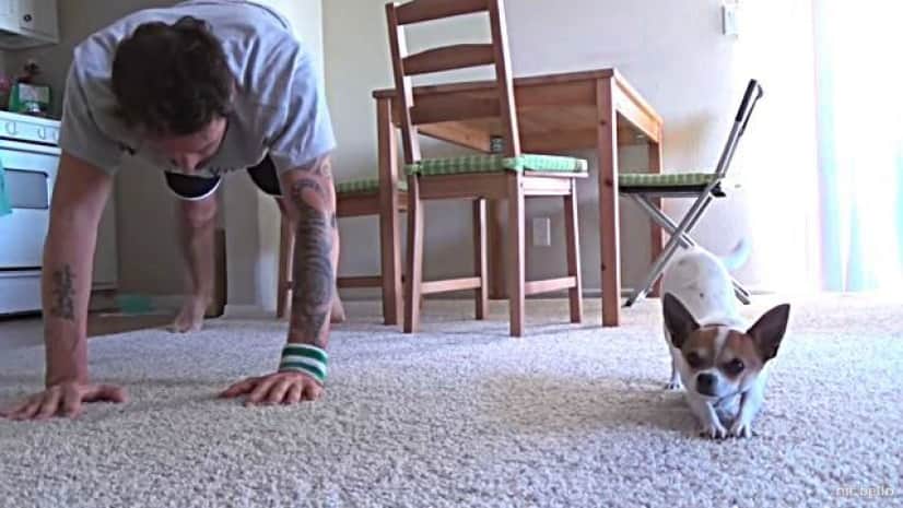 さあ 呼吸に気を配って そのポーズをキープだ 飼い主とヨガを楽しむ犬がスゴかわいい カラパイア