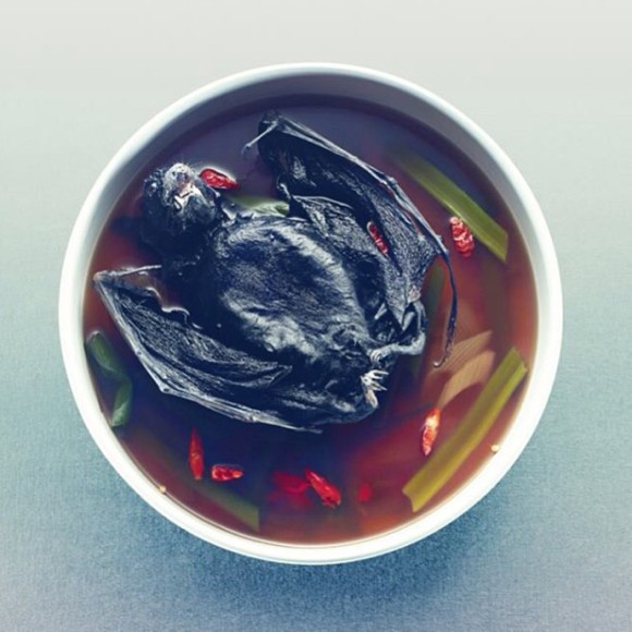 仲間の数は101種 世界の奇食大図鑑 視覚的 昆虫的閲覧注意 カラパイア