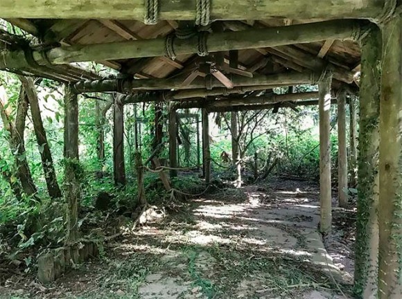 南国の楽園と勘違いして不法侵入したというディズニー島は1999年に閉鎖された廃墟島だった その内部を公開 カラパイア