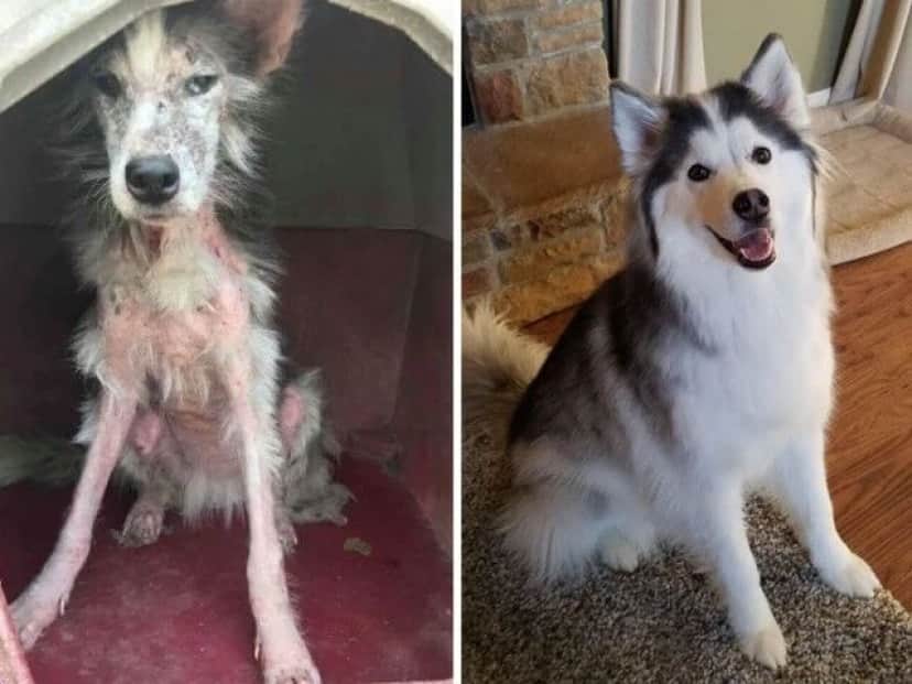 60f7c6fa42726-before-after-a