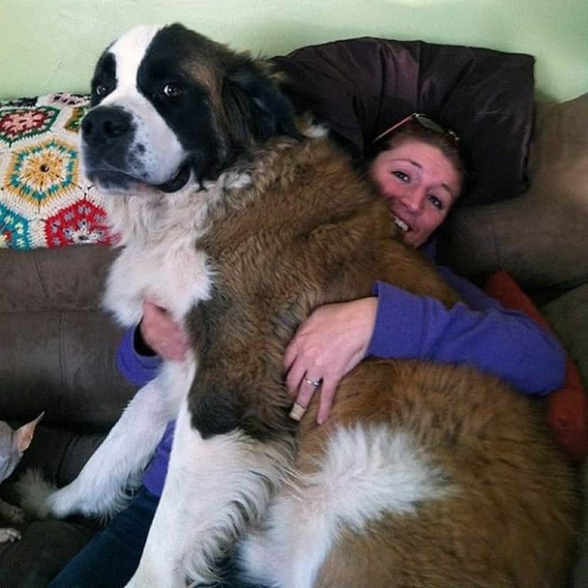big-puppy6_e