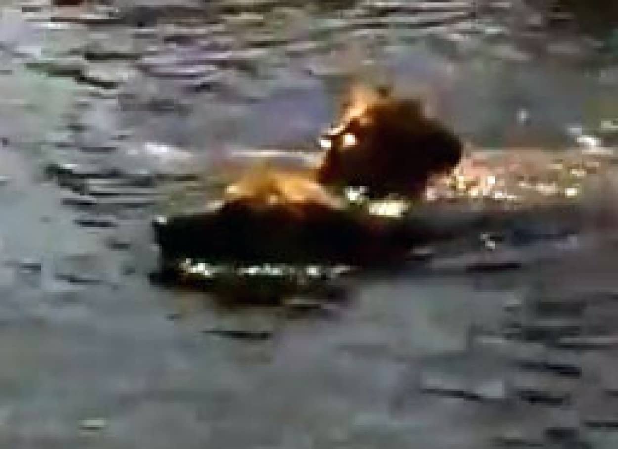 溺れるものは助ける犬 カラパイア 溺れるものは助ける犬 カラパイア