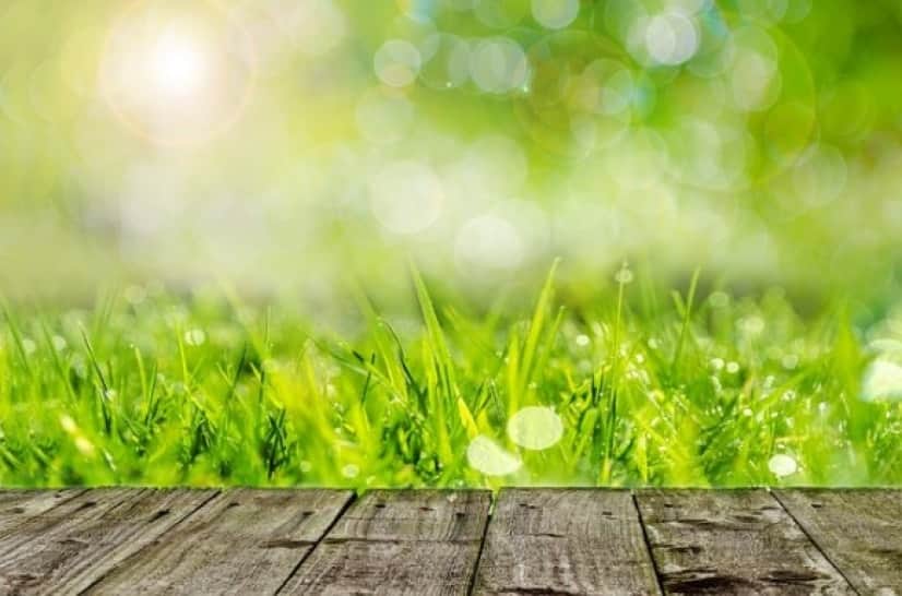 background-316552_640_e