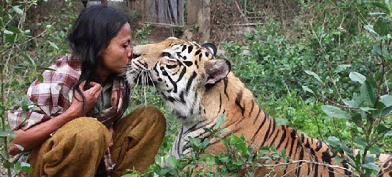 片時も離れられない 傷ついてもかまわない ベンガルトラを愛しすぎた男の日常 インドネシア カラパイア