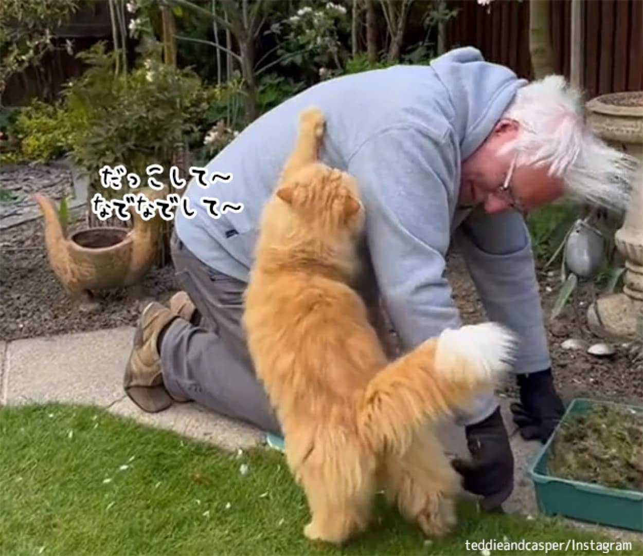 おじいさんと猫