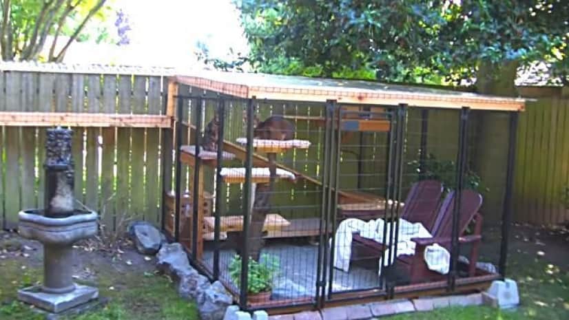 ここで好きなだけ外の風を楽しんで お外 を知らなかった家猫たちのために 庭に遊び場を作ったよ カラパイア