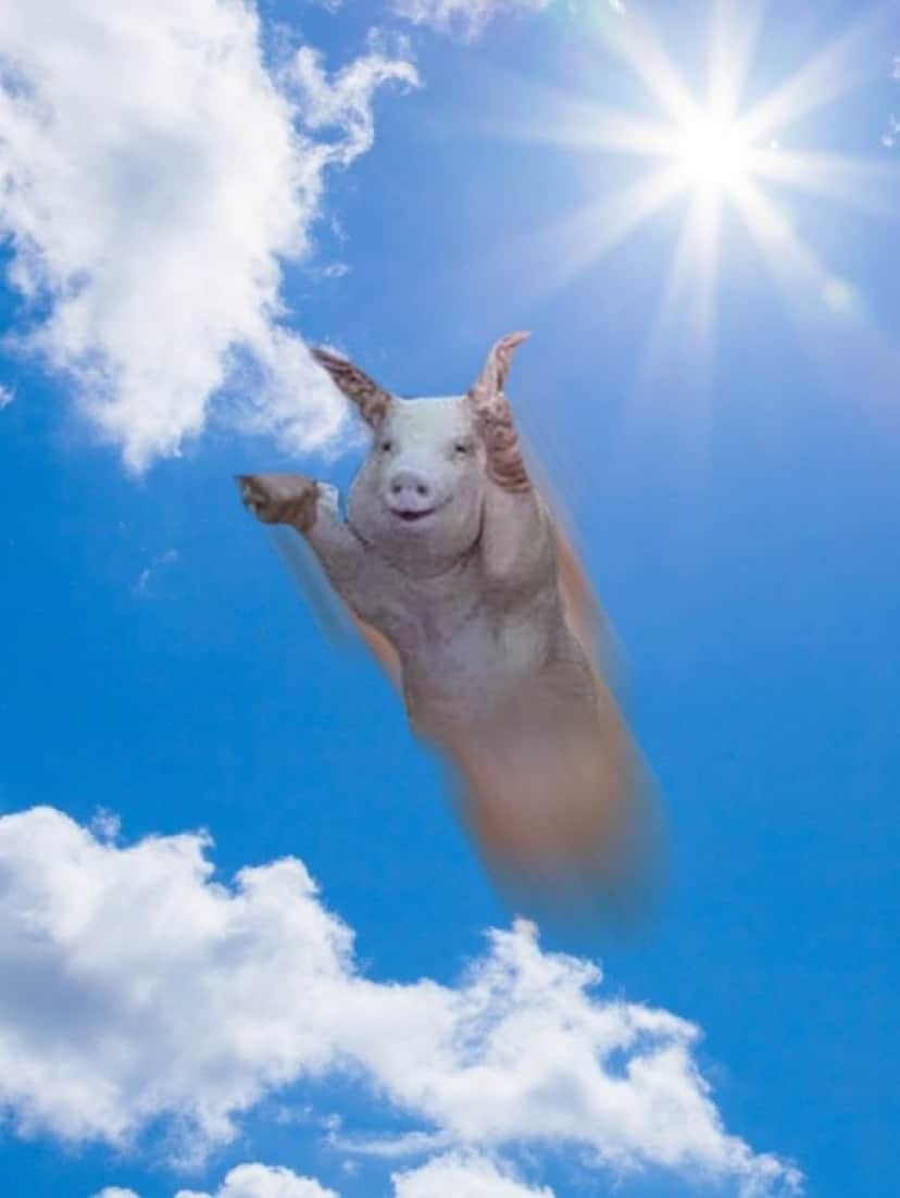 4_e
