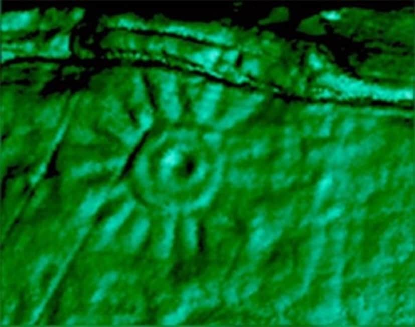 1_e4