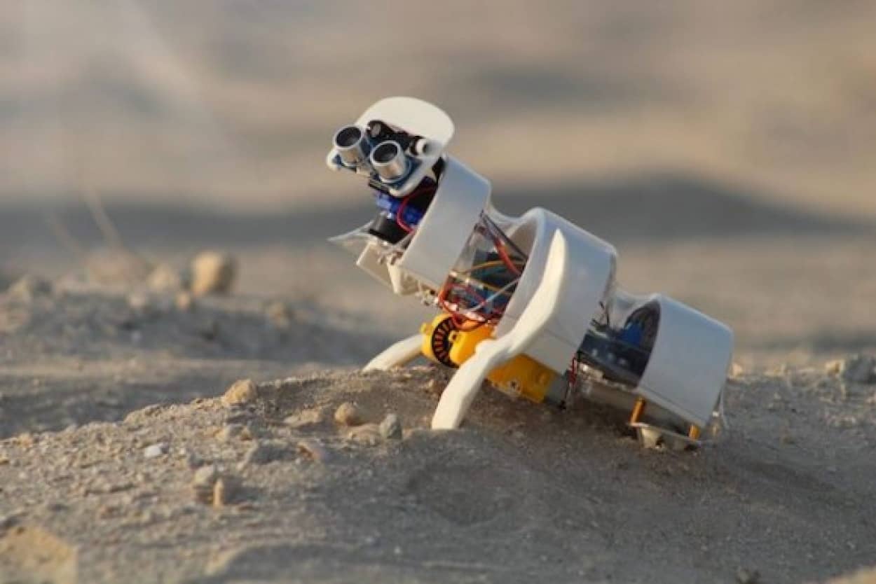 砂漠に種をまくロボット