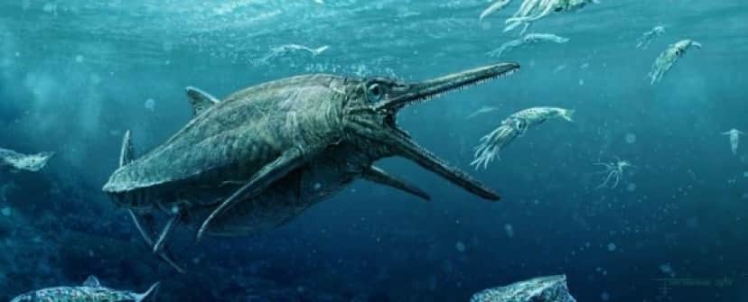 StorrLochsMonsterHeader_1024_e