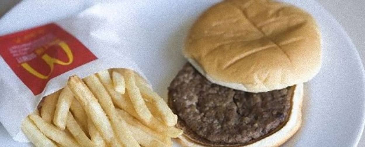 まだ続いていたマクドナルド ハッピーミール放置プロジェクト 979日後のハンバーガーとポテトの状況画像 カラパイア まだ続いていたマクドナルド ハッピーミール放置プロジェクト 979日後のハンバーガーとポテトの状況画像 カラパイア