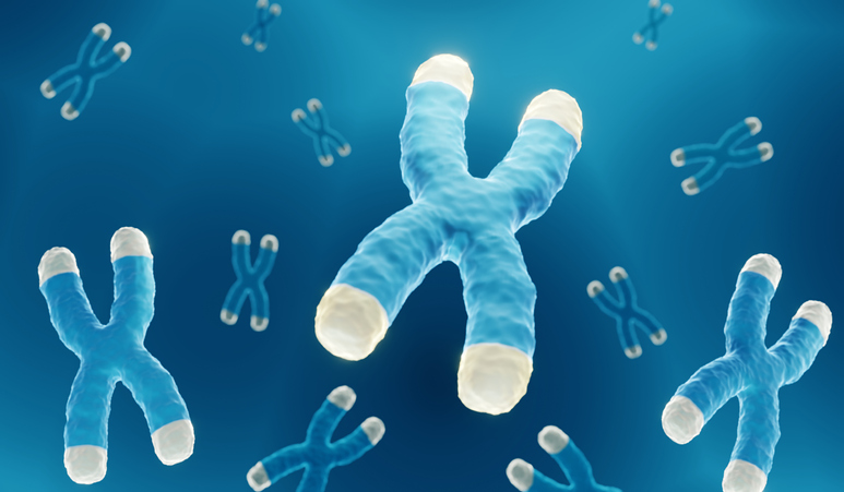 iStock-1356994736