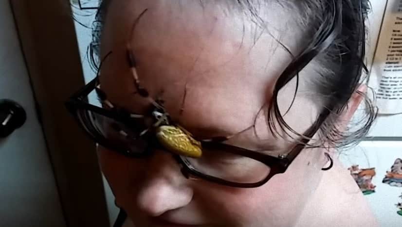 spider5_e