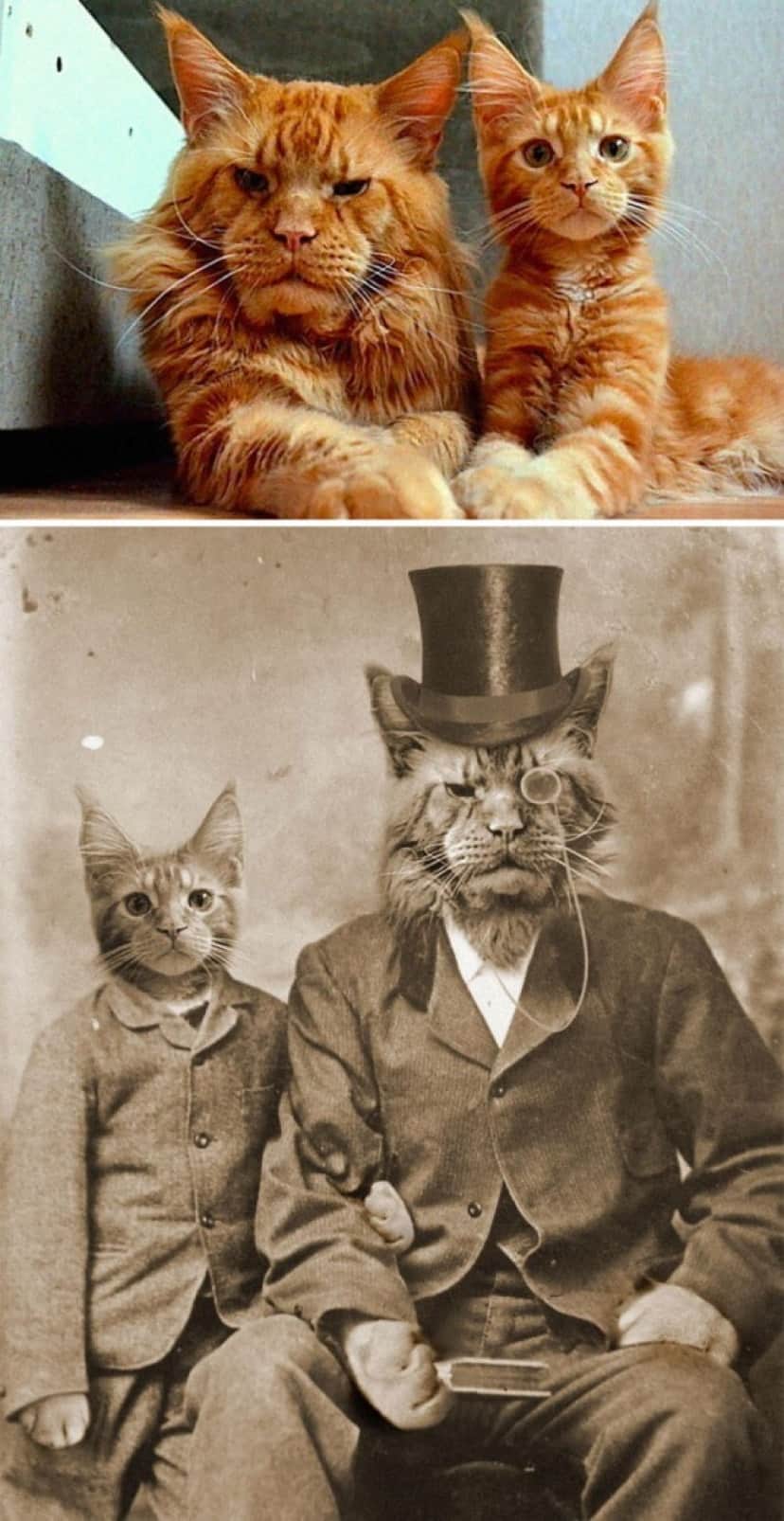 コラ職人が腕を振るう 19年フォトショップバトル優秀作品15 カラパイア