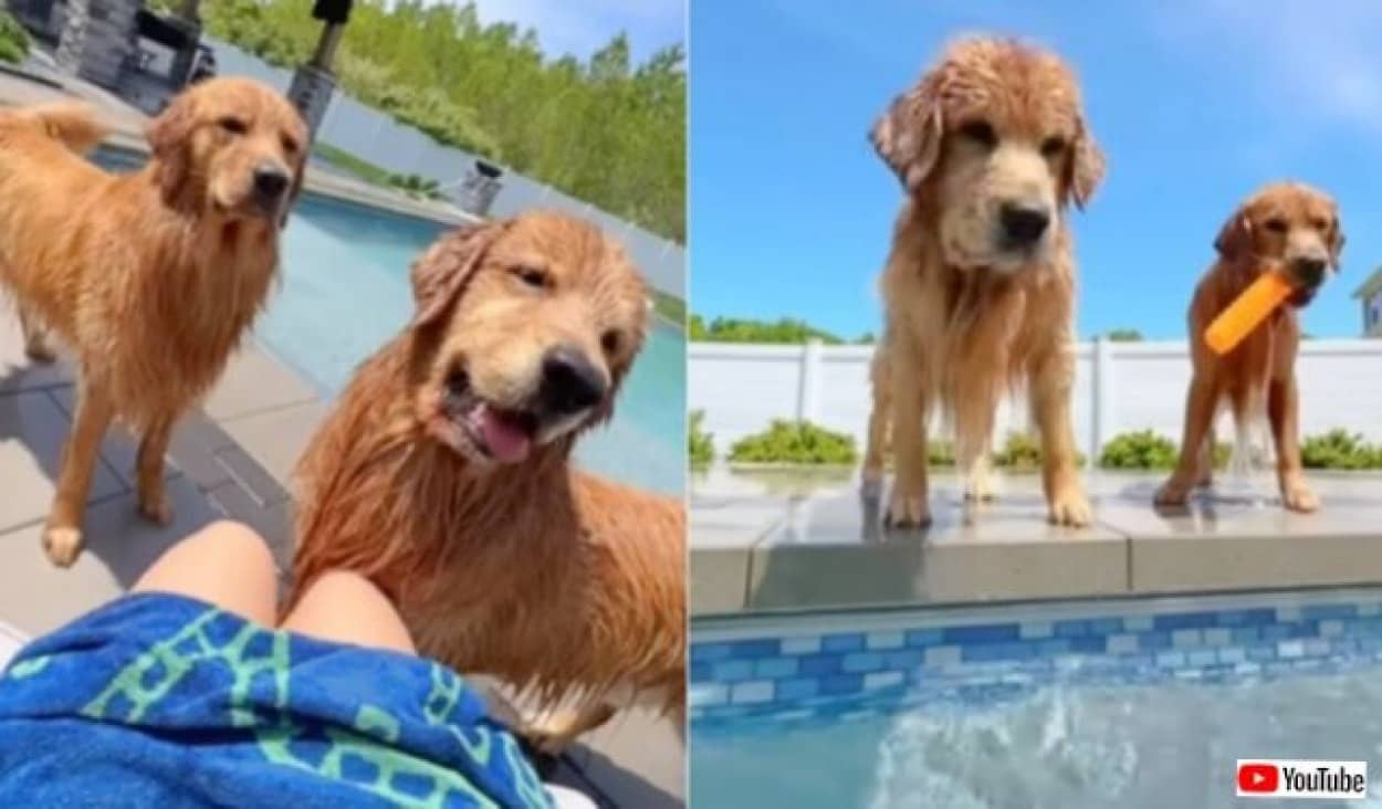 20230601_182709 (5)_batch