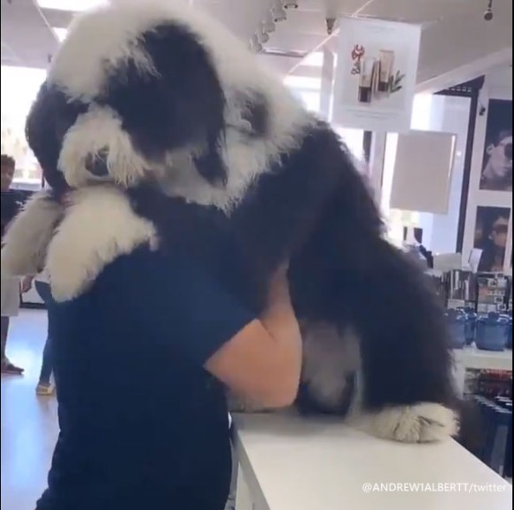 ずるいよ自分も抱っこして 大きな犬を抱きかかえた飼い主に抱っこをおねだりする大型犬 カラパイア