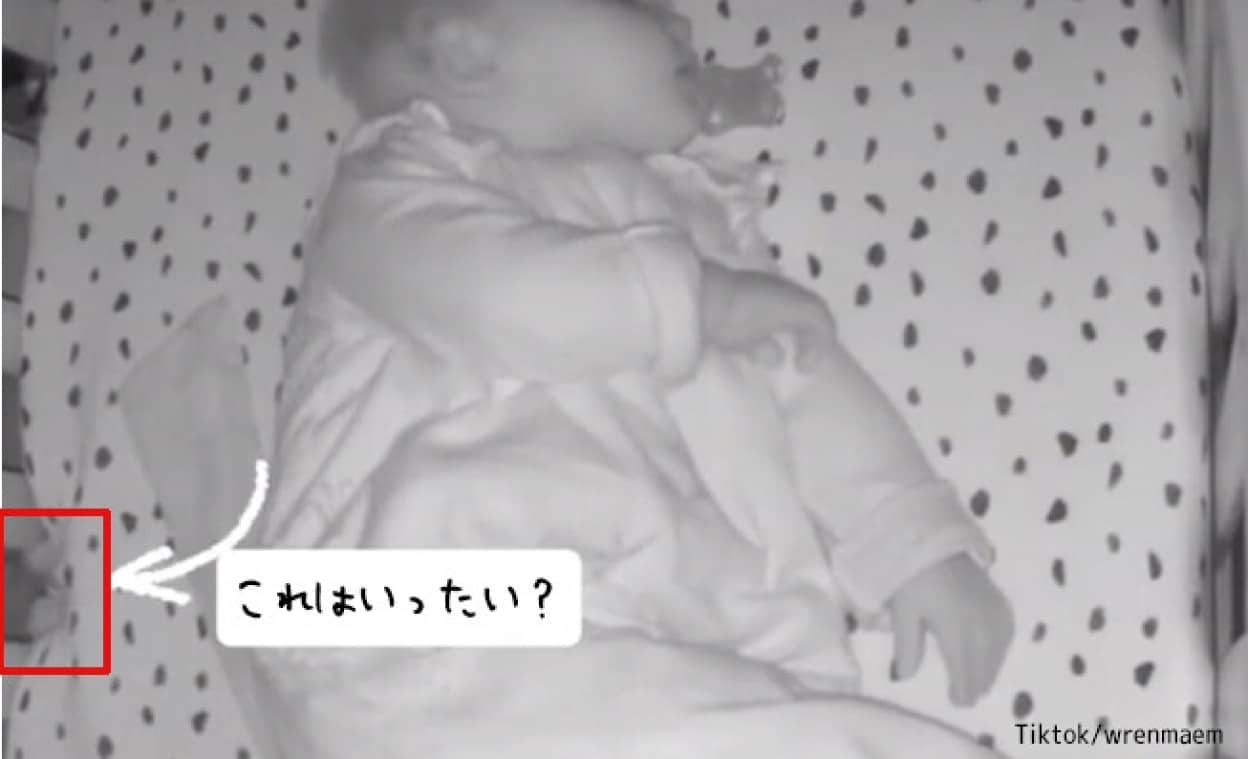 赤ちゃんが眠るベビーベッドに謎の動く物体が出現 カラパイア