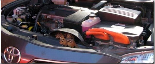 車のボンネットの中に潜んでいた動物達 ヘビ出演中 カラパイア