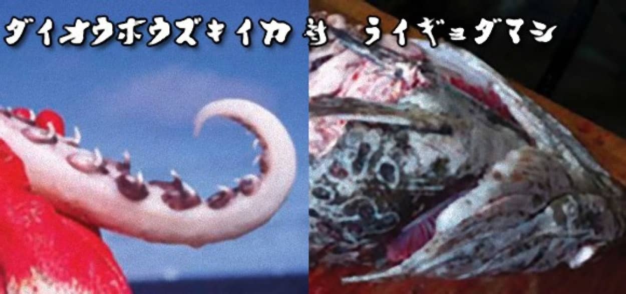 0_e0
