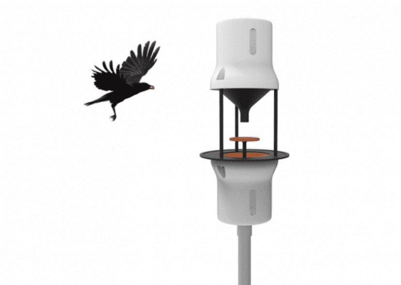 crow-cleaners4