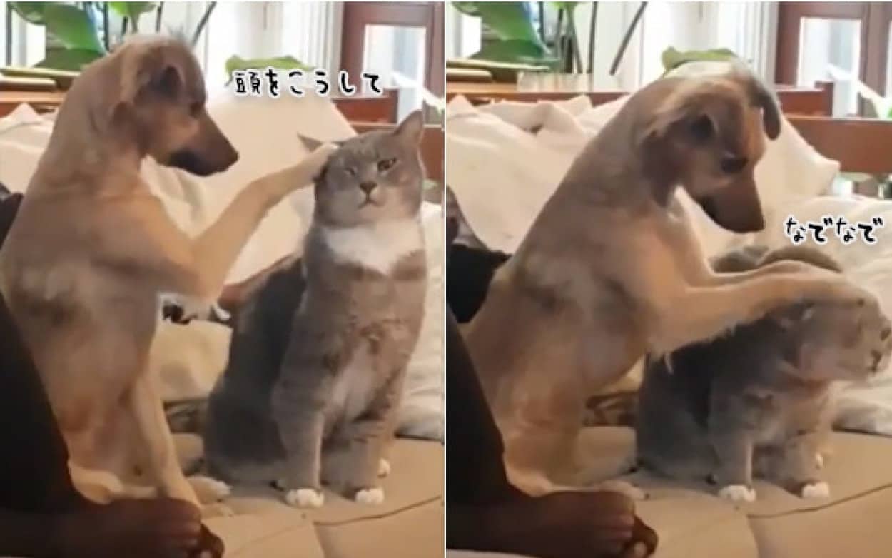no title