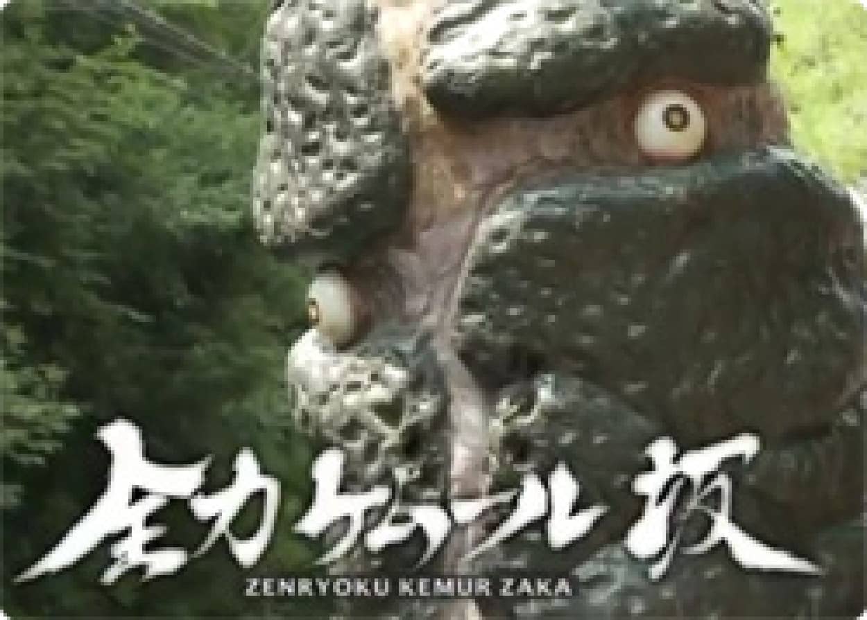 毛ムール