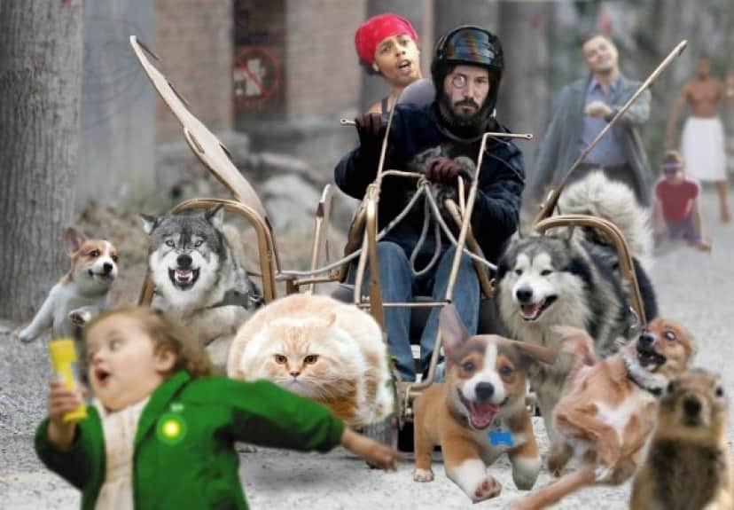 子犬があまりにも幸せそうなのでコラ職人頑張る カラパイア 子犬があまりにも幸せそうなのでコラ職人頑張る カラパイア